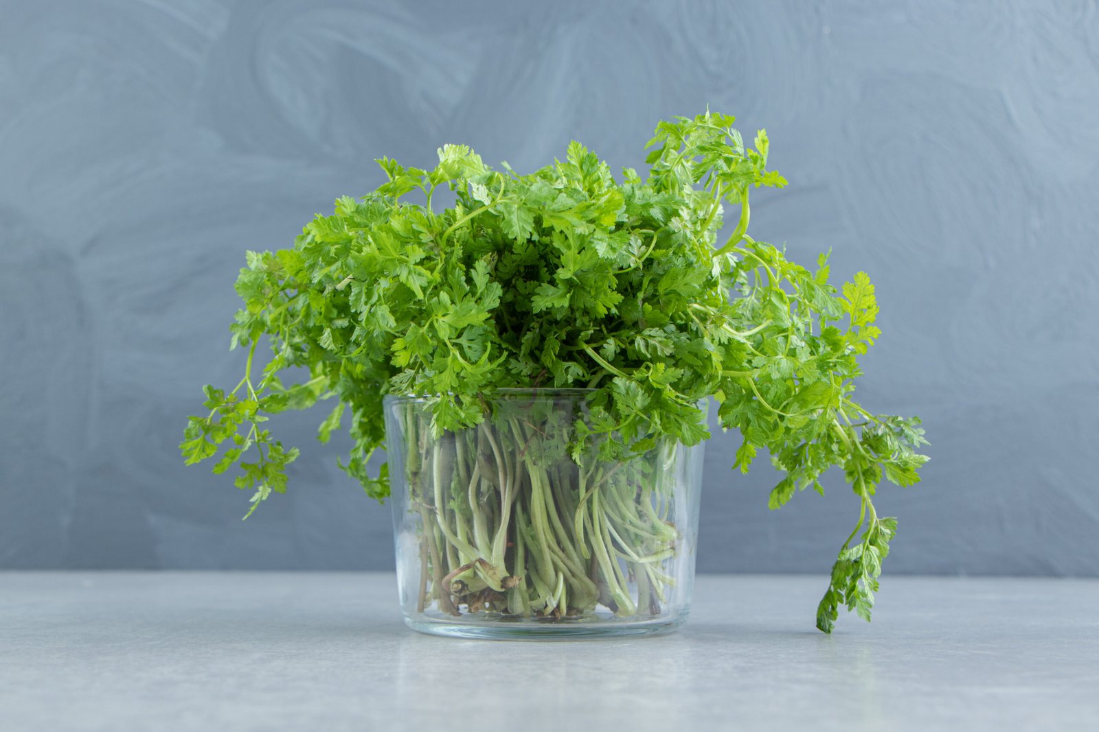 a bunch parsley in the glass , on the marble background