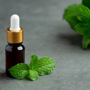 essential oil of peppermint in bottle with fresh green peppermin