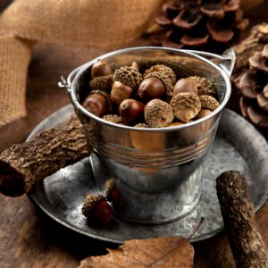 high angle acorns table still life (1)