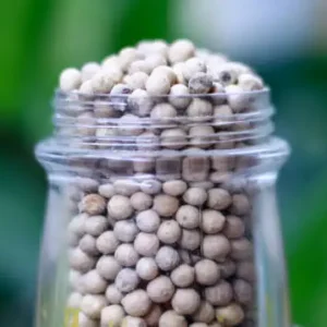 Pipulika (Wild Pepper)