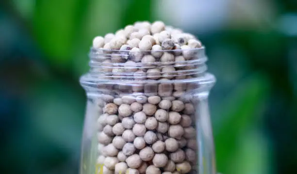 istockphoto 1170011361 612x612 istockphoto 1170011361 612x612