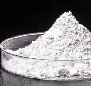 istockphoto 1302287431 612x612