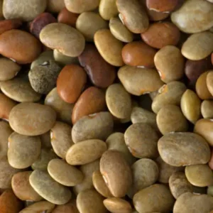 Kulatha (Horse Gram)