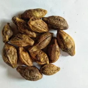 istockphoto 1335170003 612x612