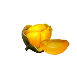 istockphoto 1932149700 612x612