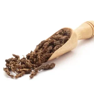 istockphoto 2149209380 612x612