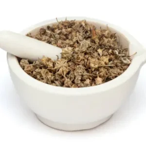 istockphoto 2159736459 612x612