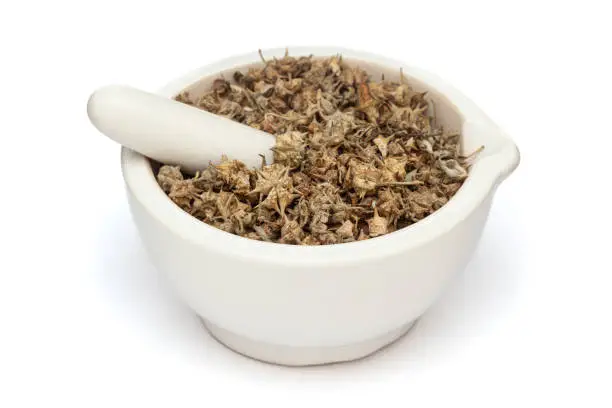 istockphoto 2159736459 612x612 istockphoto 2159736459 612x612