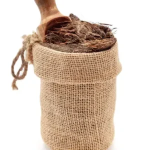 istockphoto 2165309029 612x612