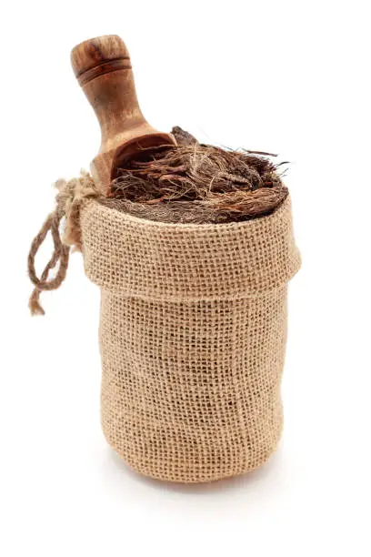 istockphoto 2165309029 612x612