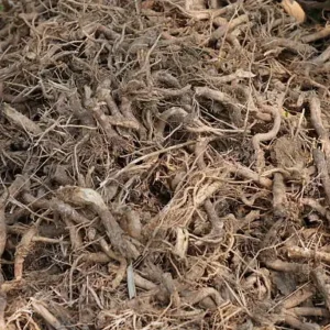 istockphoto 2208238810 612x612