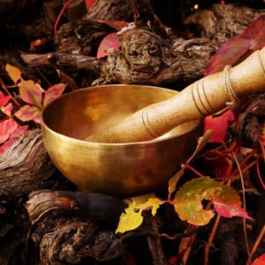 singing bowl placed on a tree log surrounded by autumn leaves