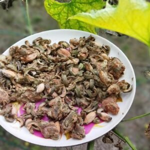 vecteezy sour salted sweet olives are very sweet and delicious to eat 37735742